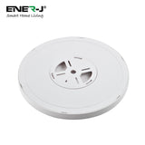 Surface mounted Earth LED Ceiling Light, 2D Printed Earth Light Shade, Power: 24W, Size: 300mm, 6500K, IP20