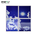 Set of 4 SKY Cloud LED Panels, Colour Changing and Dimmable, 60x60 40W 3D Effect, Ceiling Light with Remote, 2200 Lumens