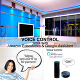 WiFi Controller for Color-Changing LED Strips T483 - Use with Your Smartphone