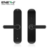 Fingerprint Smart Lock, WiFi Electronic Door Lock, Smart Anti-Theft Door Lock, Fingerprint Keypad with Password, Black Body