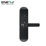 Fingerprint Smart Lock, WiFi Electronic Door Lock, Smart Anti-Theft Door Lock, Fingerprint Keypad with Password, Black Body