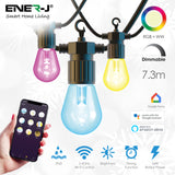 WiFi Outdoor LED String Light Kit, 7.6m with 12 Smart Lamps, IP65, RGB & Warm White, APP & Voice Control